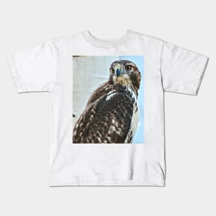 Red Tailed Hawk Kids T-Shirt